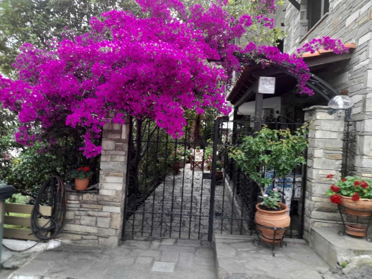 Papatzikos Traditional Guesthouse Neos Marmaras Exterior foto