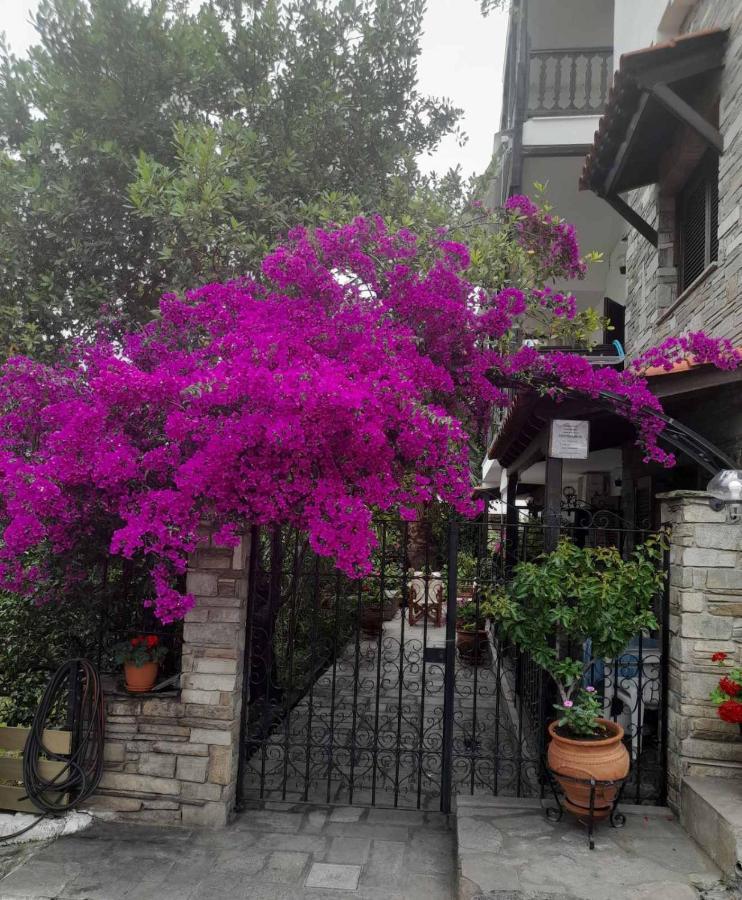 Papatzikos Traditional Guesthouse Neos Marmaras Exterior foto